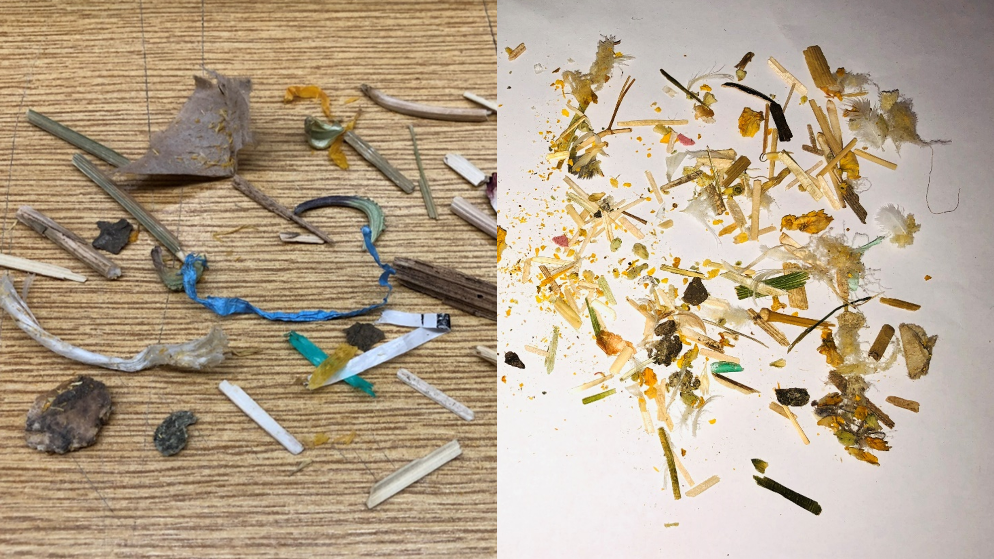 Different foreign materials detected in loose tea lay on a table.